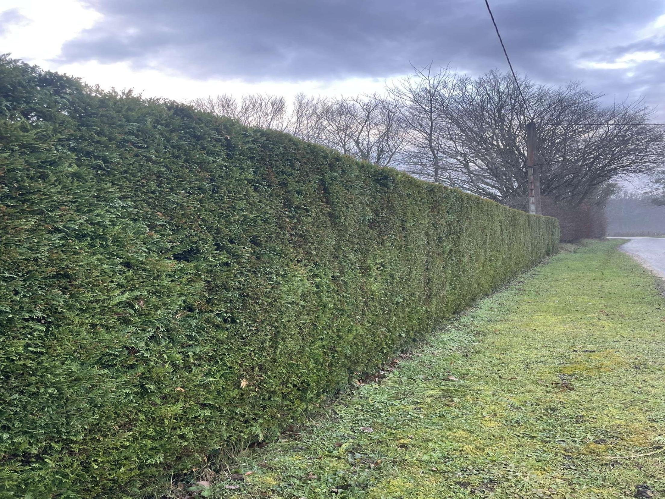 Entretien de jardin